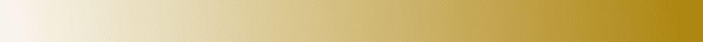 Rectangle 13155